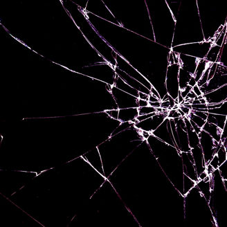  脆弱性診断サービス