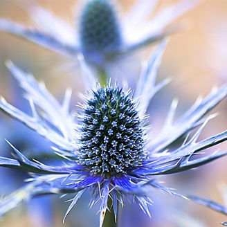 Assen, june 17 / 2018