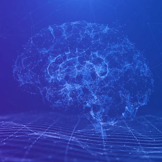 Brain in polygon form