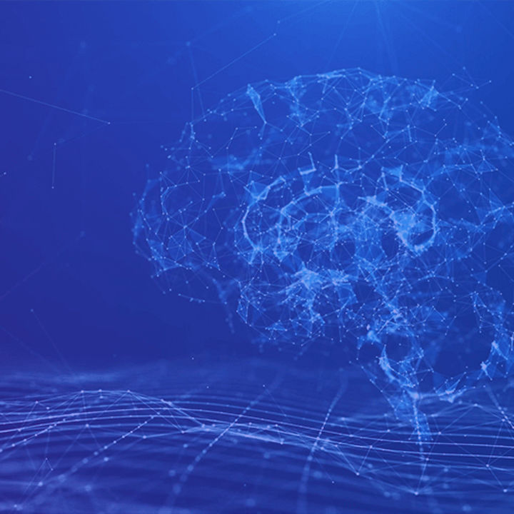 Gehirn in Polygonform