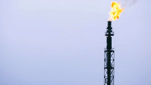 KPMG Business Insights 30