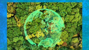 KPMG Business Insights 40