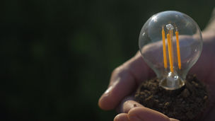 KPMG Business Insights 44