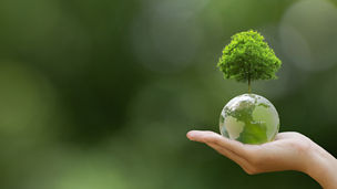 KPMG Business Insights 50