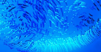 Artificial intelligence & data ethics
