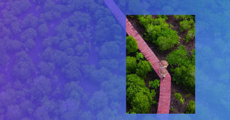 Sustainability standards and labels: navigating the jungle