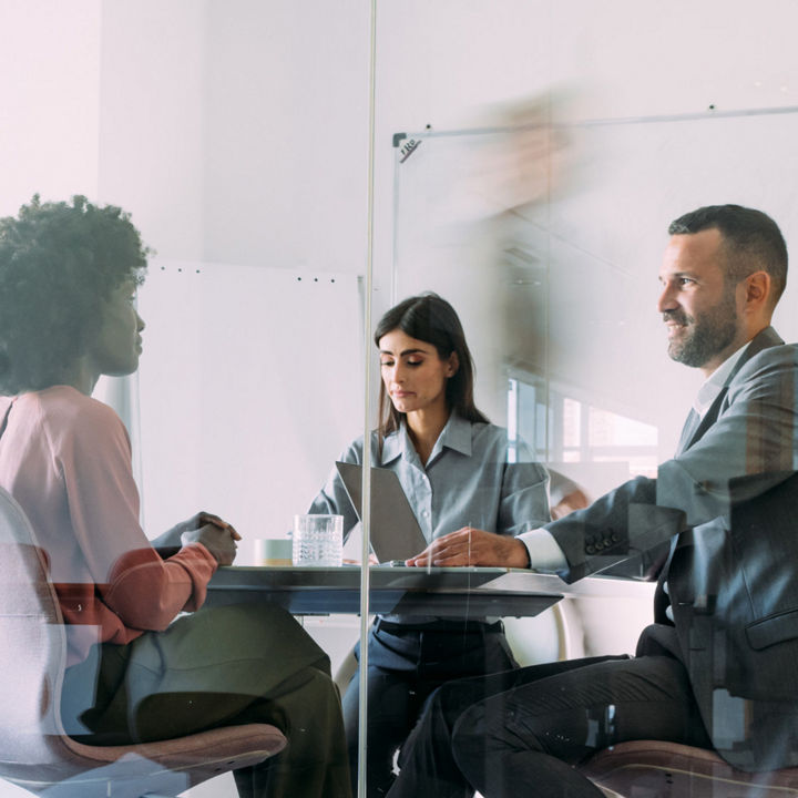 colleagues in a meeting