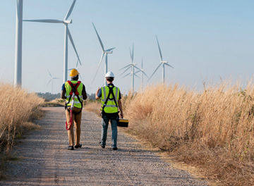 workers walking in windmill field