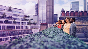 People looking in the distance