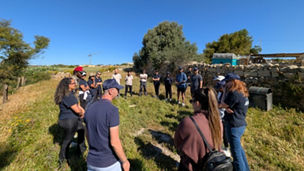 KPMG in Malta marks Earth Day with outdoor experience
