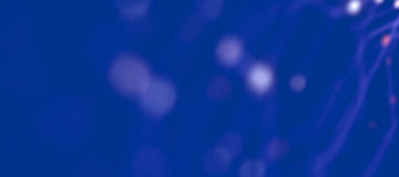 Transforming the Workforce with AI