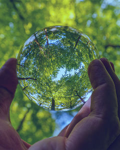 Glass marbles in the woods