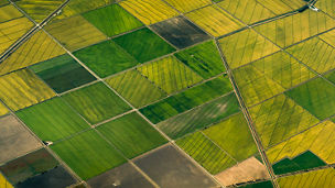 grüne felder von oben