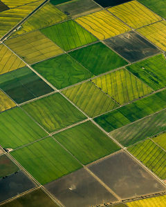 Blick auf landwirtschaftliche Felder von oben