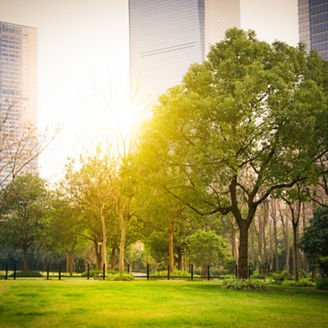 park in lujiazui financial centre, Shanghai, China
