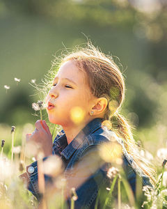 Pusteblume