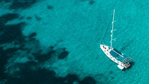 Transport, Leisure & Tourism