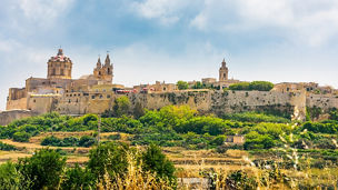 Maltese tax law offers various special tax statuses to EU/EEA and Swiss nationals seeking to relocate to Malta.