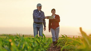 Man And Woman In Farm