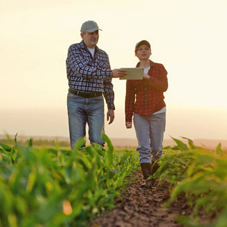 Man And Woman In Farm