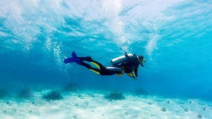 Silhouette of Scuba Diver near Sea Bottom 