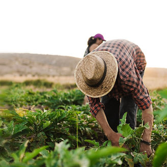 Young farmer man with hat working in his field