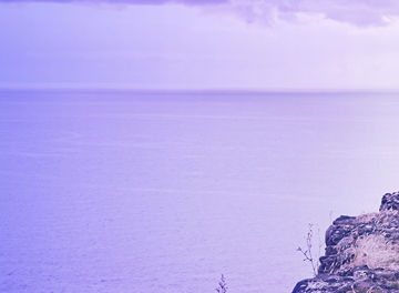 man looking towards ocean banner