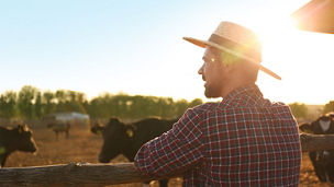 Man wearing hat in farm