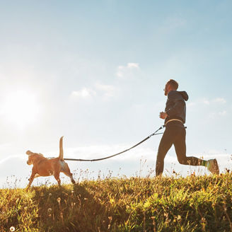 Canicross exercises. Man runs with his beagle dog at sunny morning; Shutterstock ID 1233917515; purchase_order: 
