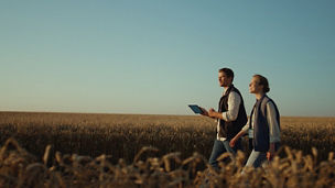 Man woman with tablet in fields