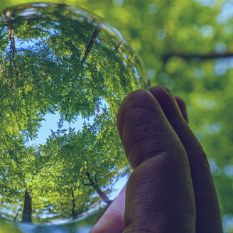 glaskugel-hand-wald
