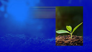 Mitigating greenwashing risk in the age of AI