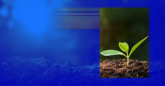 Mitigating greenwashing risk in the age of AI