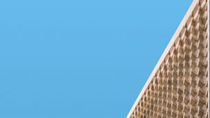 Government and Public Sector