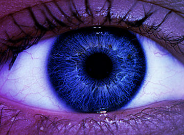 Eye