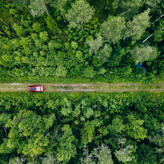 Aerial view of red car with a roof rack on a green summer forest country road in Finland