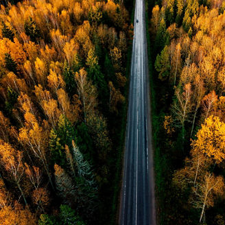 Aerial view of road in beautiful autumn forest in rural Finland. Beautiful landscape with rural road and trees with colorful leaves.
