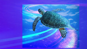 Das Bild zeigt eine Meeresschildkröte, die durch das Wasser schwimmt. Die Schildkröte ist von leuchtenden, farbigen Lichtstreifen umgeben, die in Blau- und Rosatönen gehalten sind und eine dynamische Bewegung suggerieren. Der Hintergrund ist in einem lebhaften Blau gehalten, das die Unterwasserumgebung darstellt. Die gesamte Szene ist in einen violetten Rahmen eingebettet, der dem Bild einen futuristischen und künstlerischen Touch verleiht.