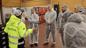 Illustrasjon av artikkel