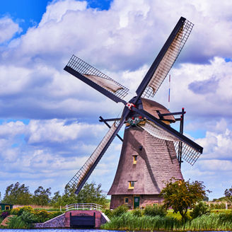 nzrr-nethelands-banner