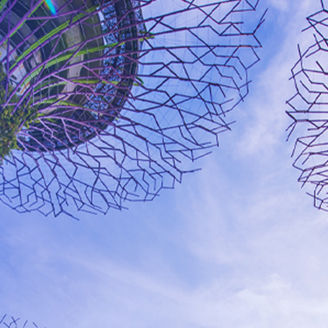 NZRR singapore banner