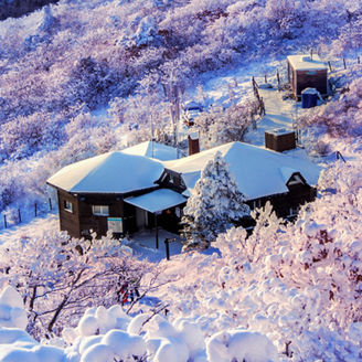 nzrr-south-korea-banner