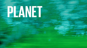 Our Impact Plan - Planet