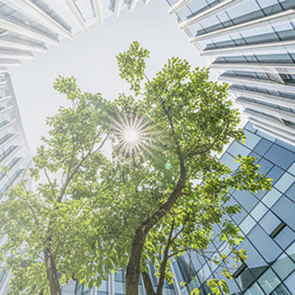 pohlad na slnko cez stromy pomedzi budovy