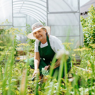 Updates to the Pensions (Tax Exemption) Rules and the Tax Rebate (Pensioners) Rules