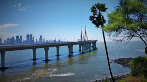 Palm tree on beach beside sea bridge link Mumbai