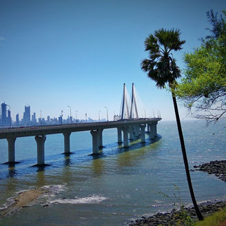 Palmboom op het strand met de skyline op de achtergrond