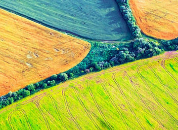 Aerial drone top view fields