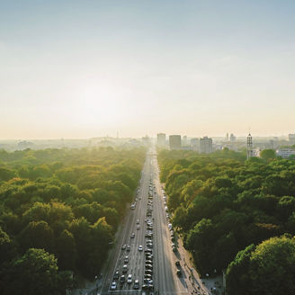 cesta pomedzi stromy