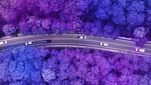 Carros a passar numa estrada rodeada de árvores numa vista de cima